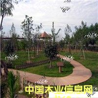 ɽ�|�R��˹�����B(t��i)ľ90����ذ�18763727587