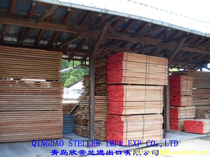 �M(j��n)�ښW�޼t�ε�Ԕ��(x��)��B