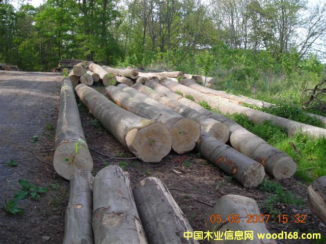 ɽë��ľ��Ԕ��(x��)��B