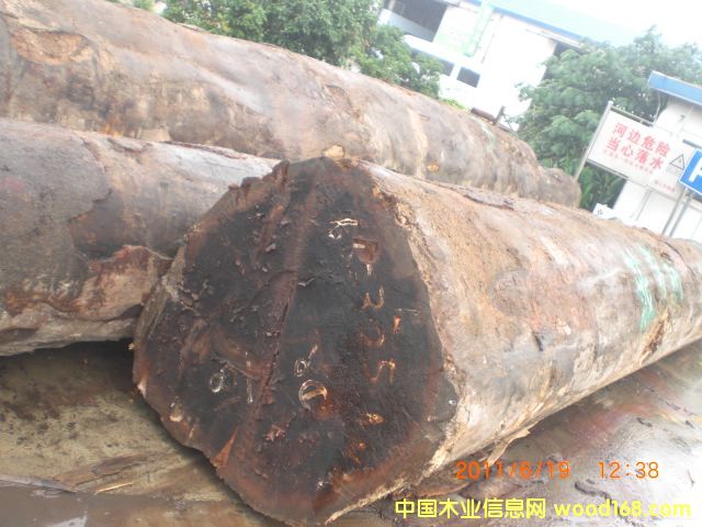 ���}���Ԕ����B