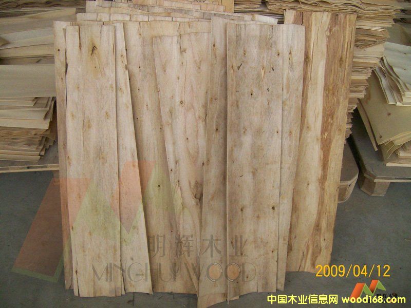 ��ľ�������Ԕ��(x��)��B