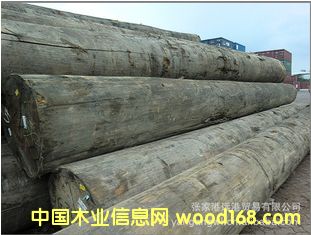 ����(y��ng)��Ƭ�� ɽ��ԭľ ��� ľ�� (KAPA / KPXX)