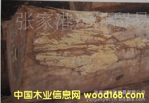 ����(y��ng)���°�÷ľ ��z��ԭľ ��� ľ�� BEW