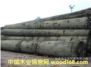 ����(y��ng)����_ɳ ������ԭľ ��� ľ�� MRTW