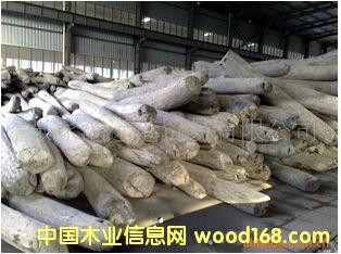 ����(y��ng)���黨�� Խ����̴ԭľ ��� ľ�ĵ�Ԕ����B