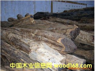 ����(y��ng)�|�Ǻ��S̴ ��ľ ��̴ �Ϲ�̴ԭľ ľ�ĵ�Ԕ����B