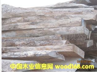 ����(y��ng)�M(j��n)���L(f��ng)܇ľ ��Ƥ�ң�(����̴)���