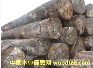 ����(y��ng)�M(j��n)������ľԭľ ��� ľ�� CAH / MEDN