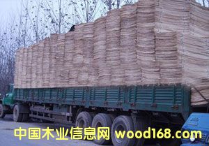 ��ľ�ΰ��Ԕ��(x��)��B