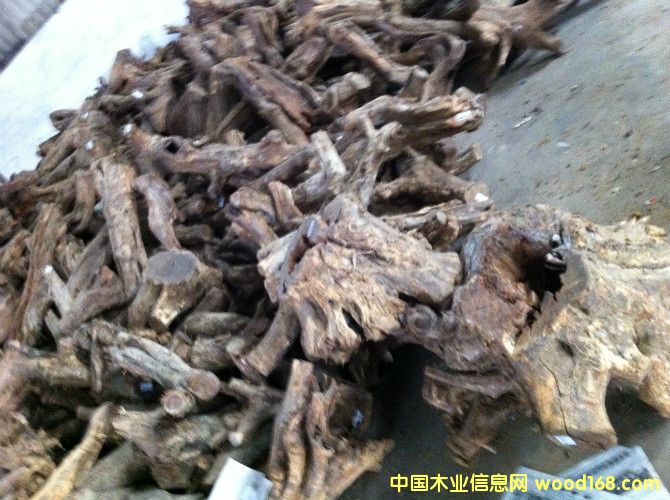 ����֦���^��Ԕ����B