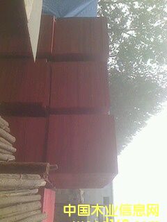 ľ�z���Ԕ��(x��)��B