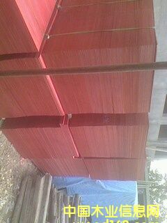 ľ�z���Ԕ��(x��)��B