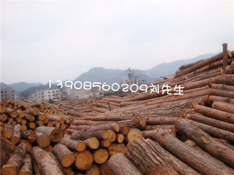 �V�Ó�ľ��ԭľ