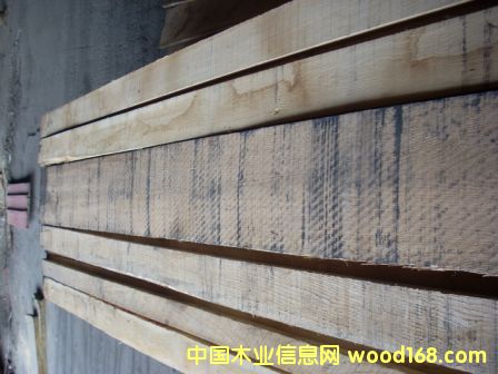 ���������Ԕ��(x��)��B