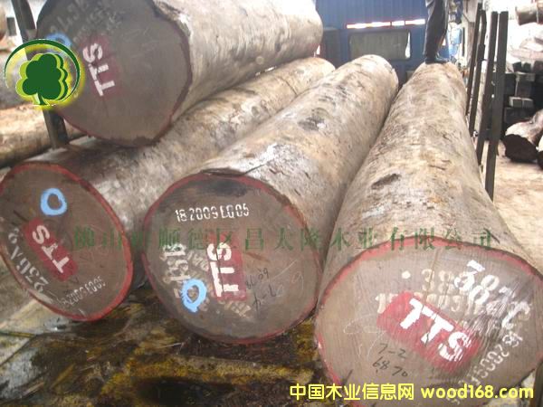 ��ľ�� �巽Ҏ(gu��)�������@��Ҏ(gu��)�� ӆ��13690415561��Ԕ��(x��)��B