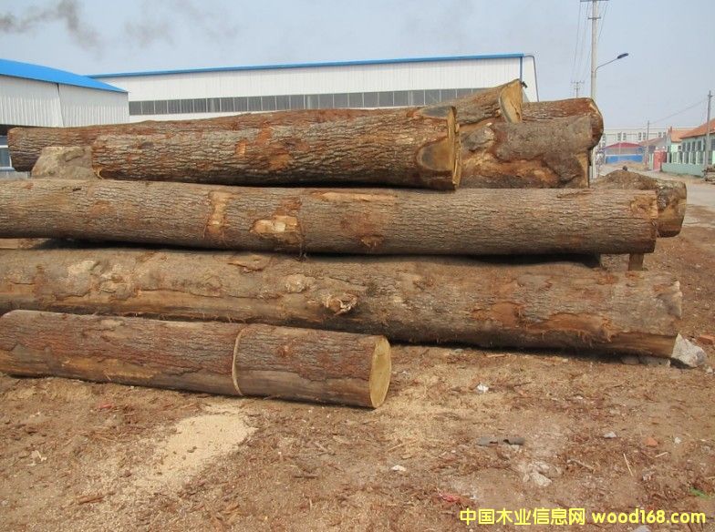 �_�R�၆����ԭľ��Ԕ��(x��)��B