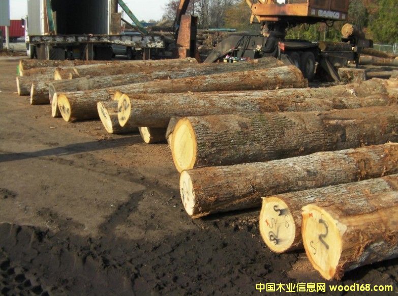 ����(gu��)����ԭľ��Ԕ��(x��)��B