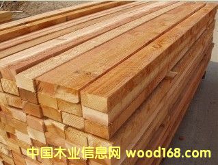 �tѩ�ɹ��S�ӹ���ĵ�Ԕ��(x��)��B