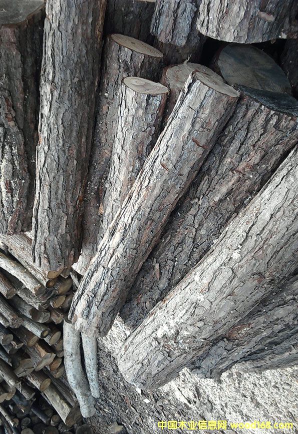 ��ľ��Ԕ��(x��)��B