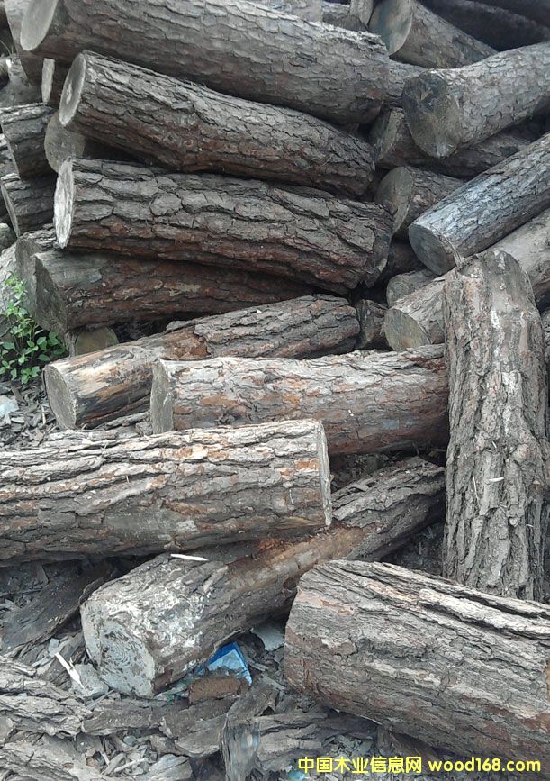 ��ľ��Ԕ��(x��)��B