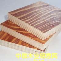 ���γ���ľƤ����Ԕ��(x��)��B