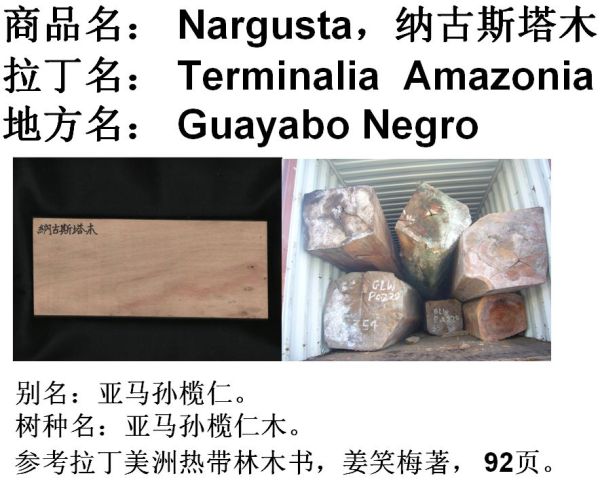 ���R�O����ľ��Ԕ��(x��)��B