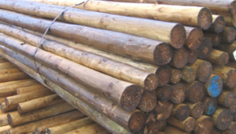 ��ɼ��Ԕ��(x��)��B