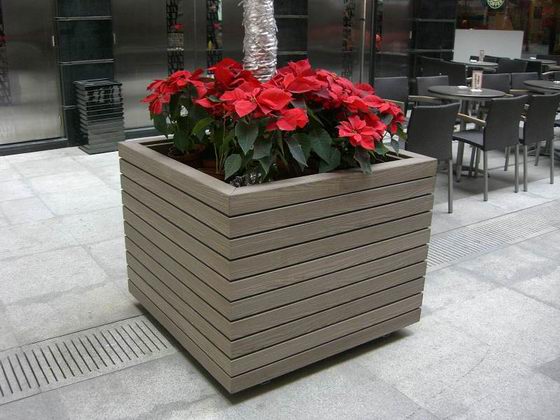 ����ľ�I(y��)