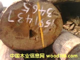 ��ľ��Ԕ��(x��)��B