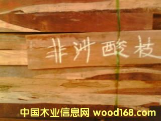 ������֦��Ԕ��(x��)��B