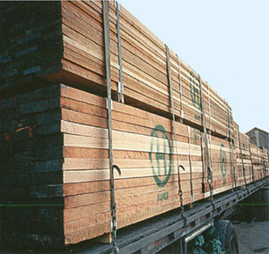 �����t������Ԕ��(x��)��B