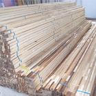 ľ���ǵ�Ԕ��(x��)��B