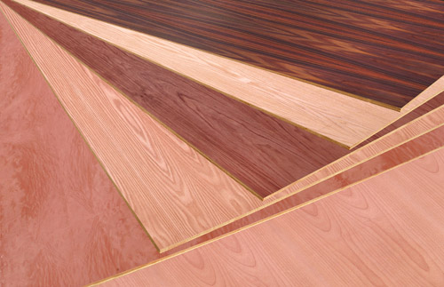 ����Ҭ�������N������b����