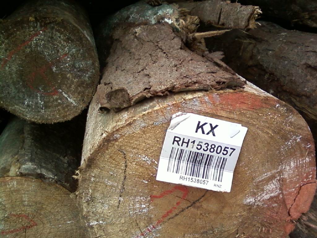 ݗ����ԭľ��ľƬ��Ԕ����B