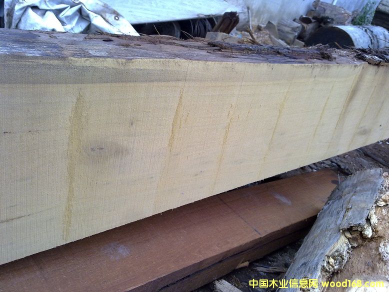 �s��ľ��Ԕ��(x��)��B