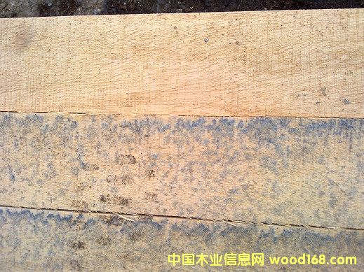 ��ľ��ͤ�ϵ�Ԕ��(x��)��B