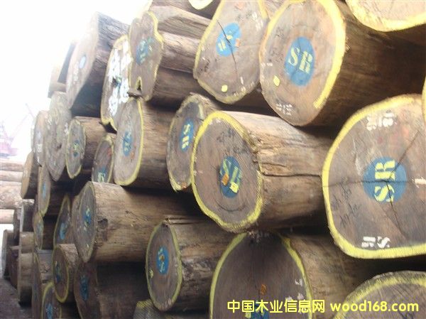 �������u���Ԕ��(x��)��B