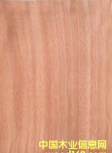 �t����Ƥ��Ԕ��(x��)��B