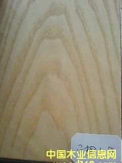 ��˨ɽ�y��Ԕ��(x��)��B