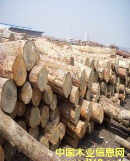 ݗ����ԭľ��Ԕ��(x��)��B