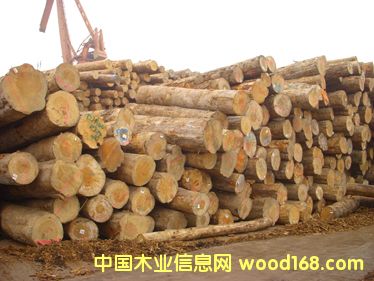 ݗ���� ���ɵ�Ԕ��(x��)��B