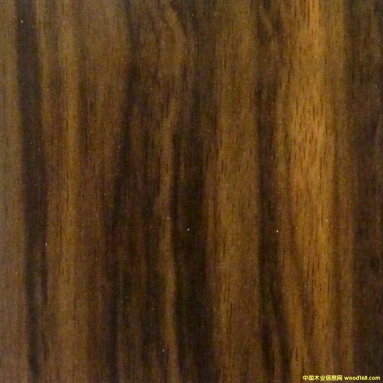 �o���F���Ԕ����B