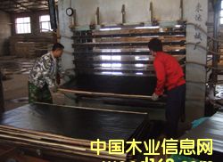 ��Ĥ��ˮģ���Ԕ����B