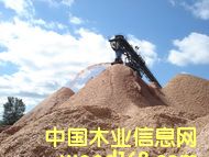 �����Ϸ���ľƬ��Ԕ����B