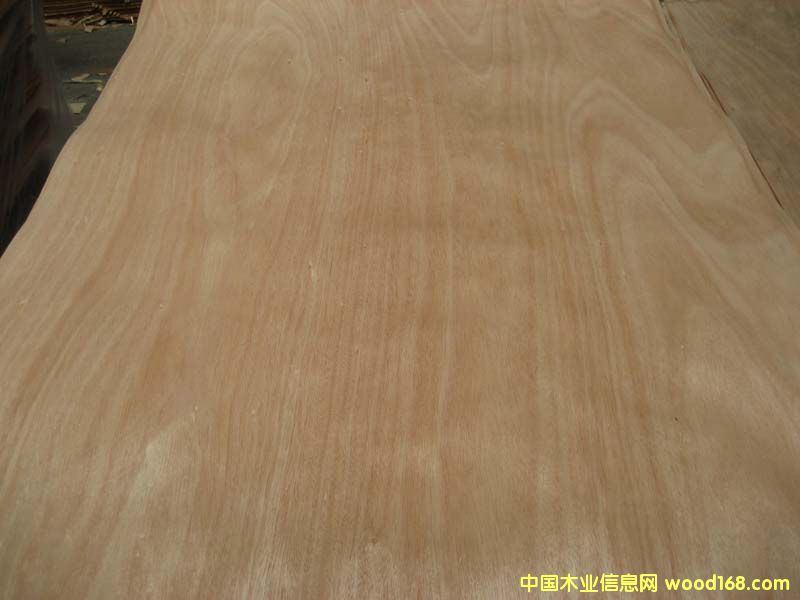 �W�����ΰ��Ԕ����B