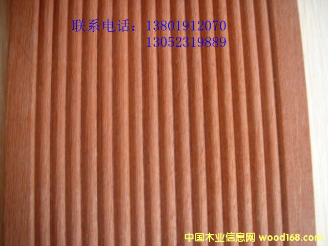 ɽ��ľ��Ԕ����B