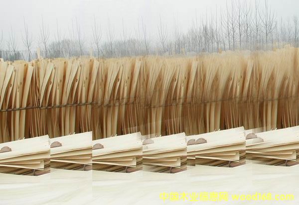 ��ľ��Ƥ��Ԕ��(x��)��B