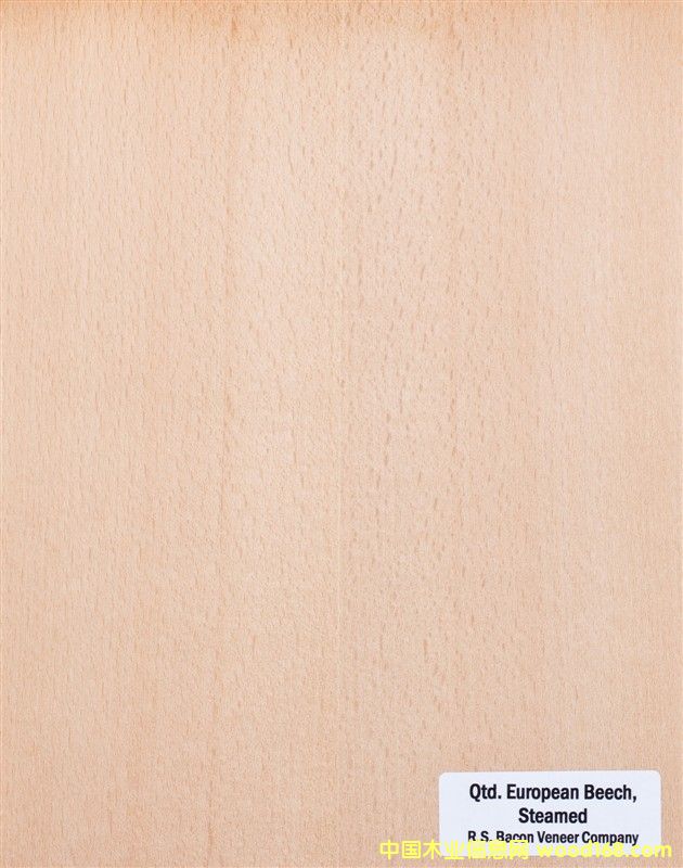 ����ľƤ��Ԕ��(x��)��B