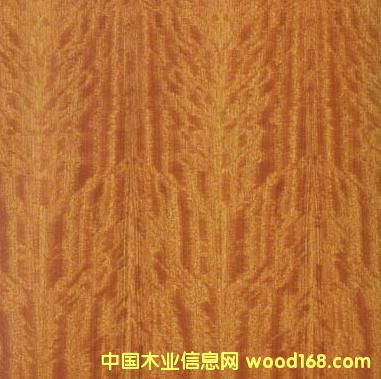 ����ľƤ��Ԕ��(x��)��B