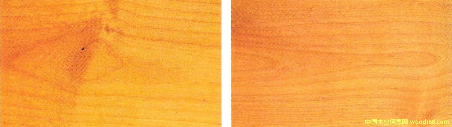 �����Ԕ����B